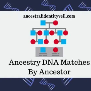 Tracing Ancestry DNA Matches by Ancestor: Utilizing ThruLines for Genealogical Insights