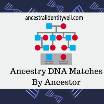 Tracing Ancestry DNA Matches by Ancestor: Exploring ThruLines for Genealogical Connections