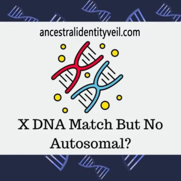 X DNA Match without Autosomal: Exploring Unique Genetic Connections