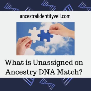 Unraveling Unassigned DNA Matches on Ancestry: Understanding Genetic Connections Waiting to be Discovered