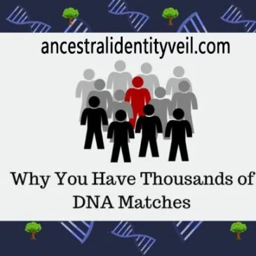 Decoding the Abundance: Understanding the Reasons Behind Thousands of DNA Matches