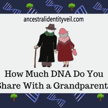 Quantifying Genetic Connections: Exploring the DNA Shared with Grandparents