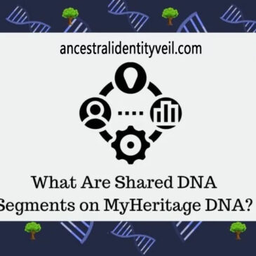 Understanding Shared DNA Segments on MyHeritage DNA: Unveiling Genetic Connections and Relationships