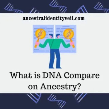 Exploring DNA Compare on Ancestry: Uncover Genetic Connections and Discover Your Ancestral Relatives