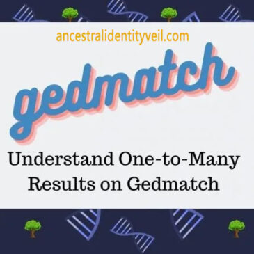 Decoding One-to-Many Results on GEDmatch: A Guide to Understanding Genetic Matches