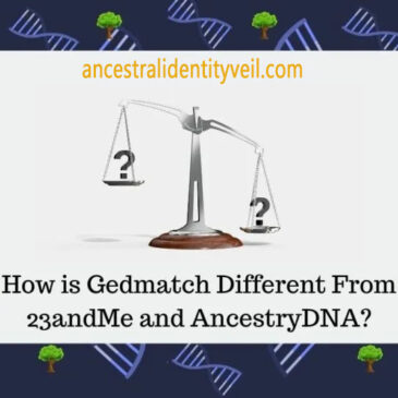Exploring the Distinctions: Understanding the Differences Between GEDmatch, 23andMe, and AncestryDNA